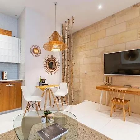 Superbe Bordelais Plein De Charme Et Lumineux Avec Terrasse Daire *