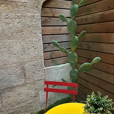 Superbe Bordelais Plein De Charme Et Lumineux Avec Terrasse *