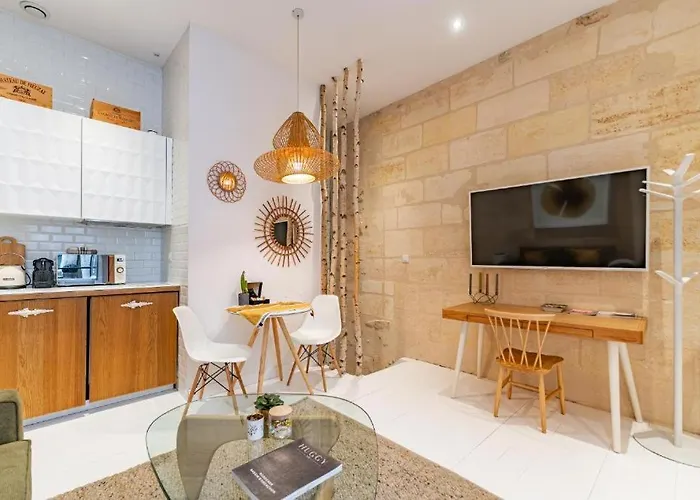 Superbe Bordelais Plein De Charme Et Lumineux Avec Terrasse Apartment *