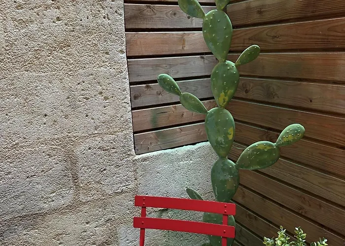 Superbe Bordelais Plein De Charme Et Lumineux Avec Terrasse *